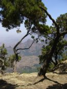 Landschaft Äthiopien Web klein
